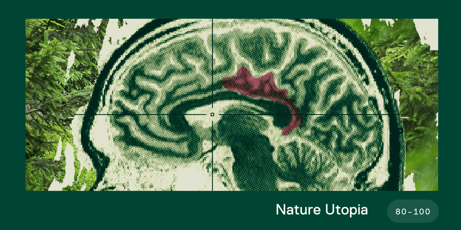 Neuroimaging and Green Landscapes